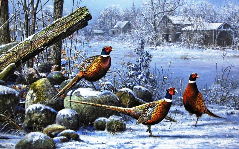 Pheasants in Snow — White, Serene