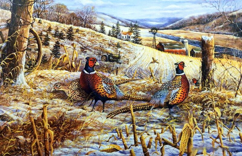 Pheasants in Snowy Field