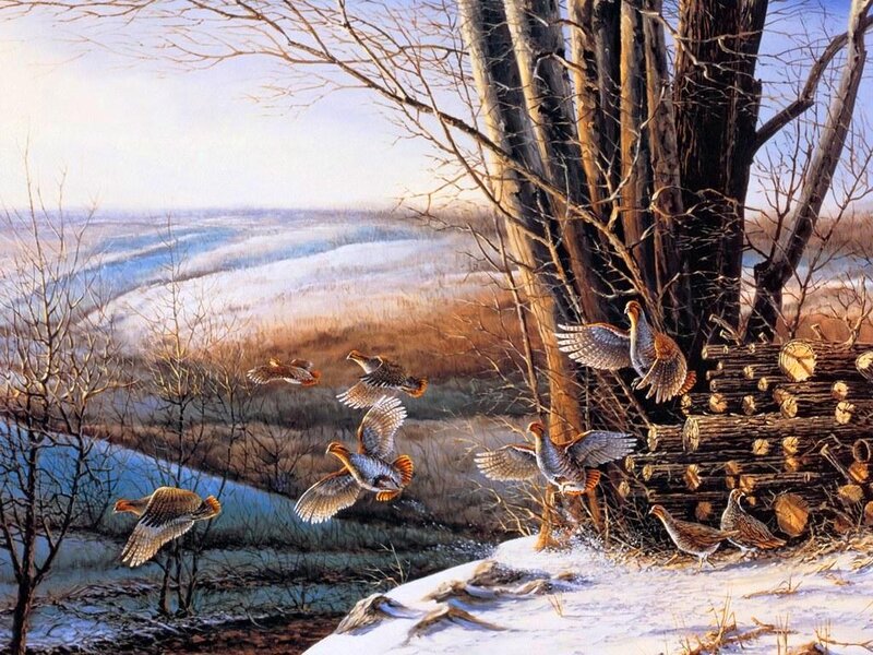 Pheasants in Winter — Brown