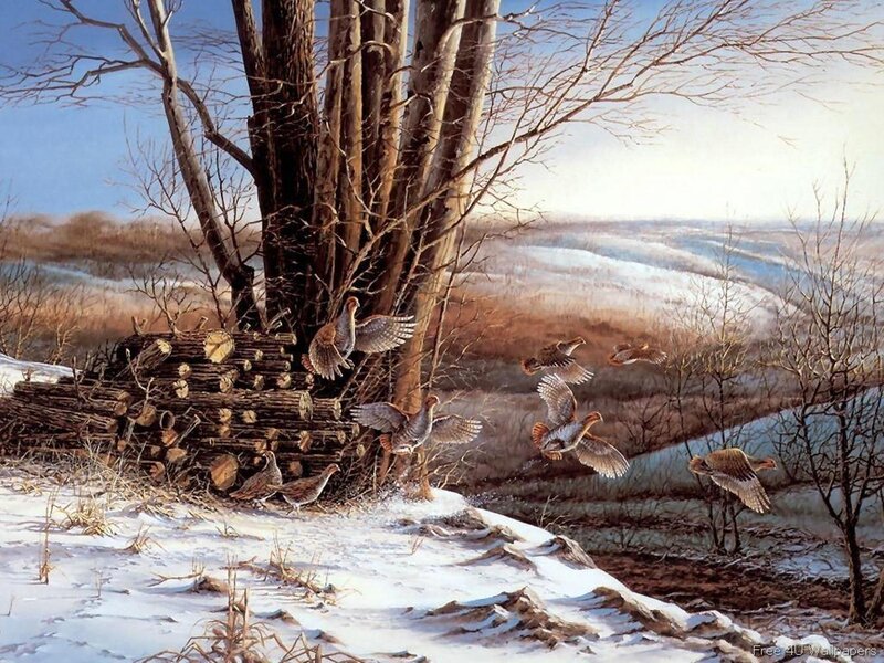 Pheasants in Winter — White