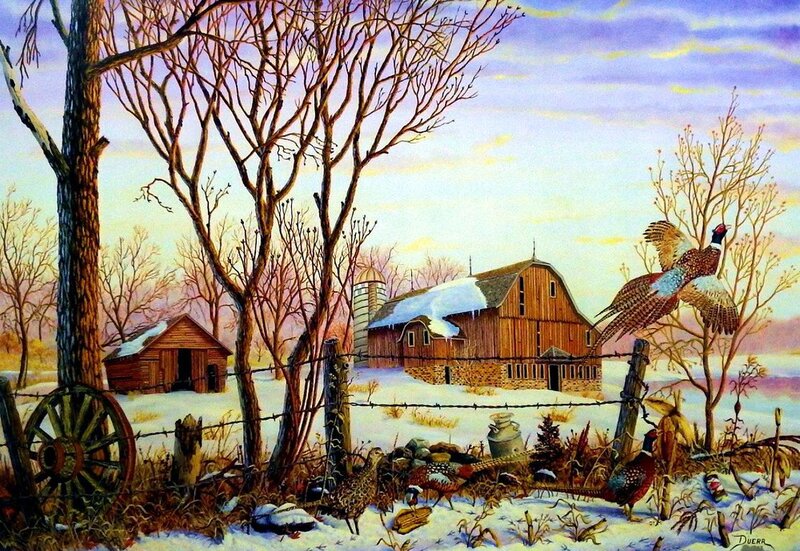 Pheasants on a Farm