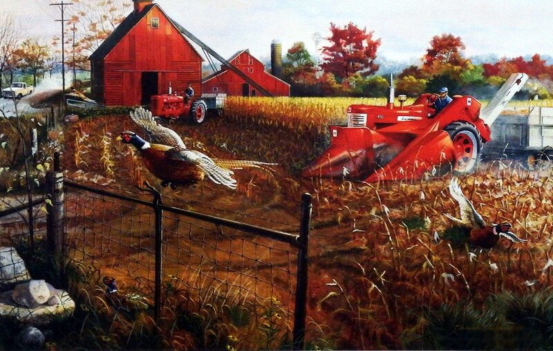 Pheasants on Farm — Red