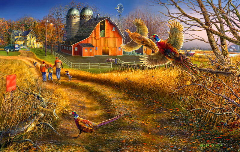 Pheasants on Farm
