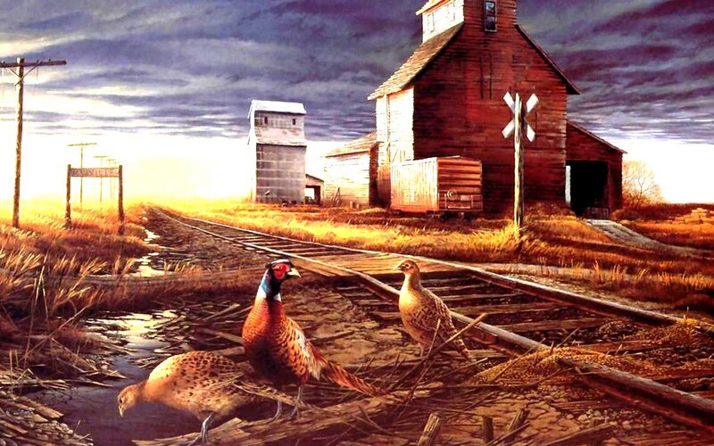 Pheasants on Train Tracks
