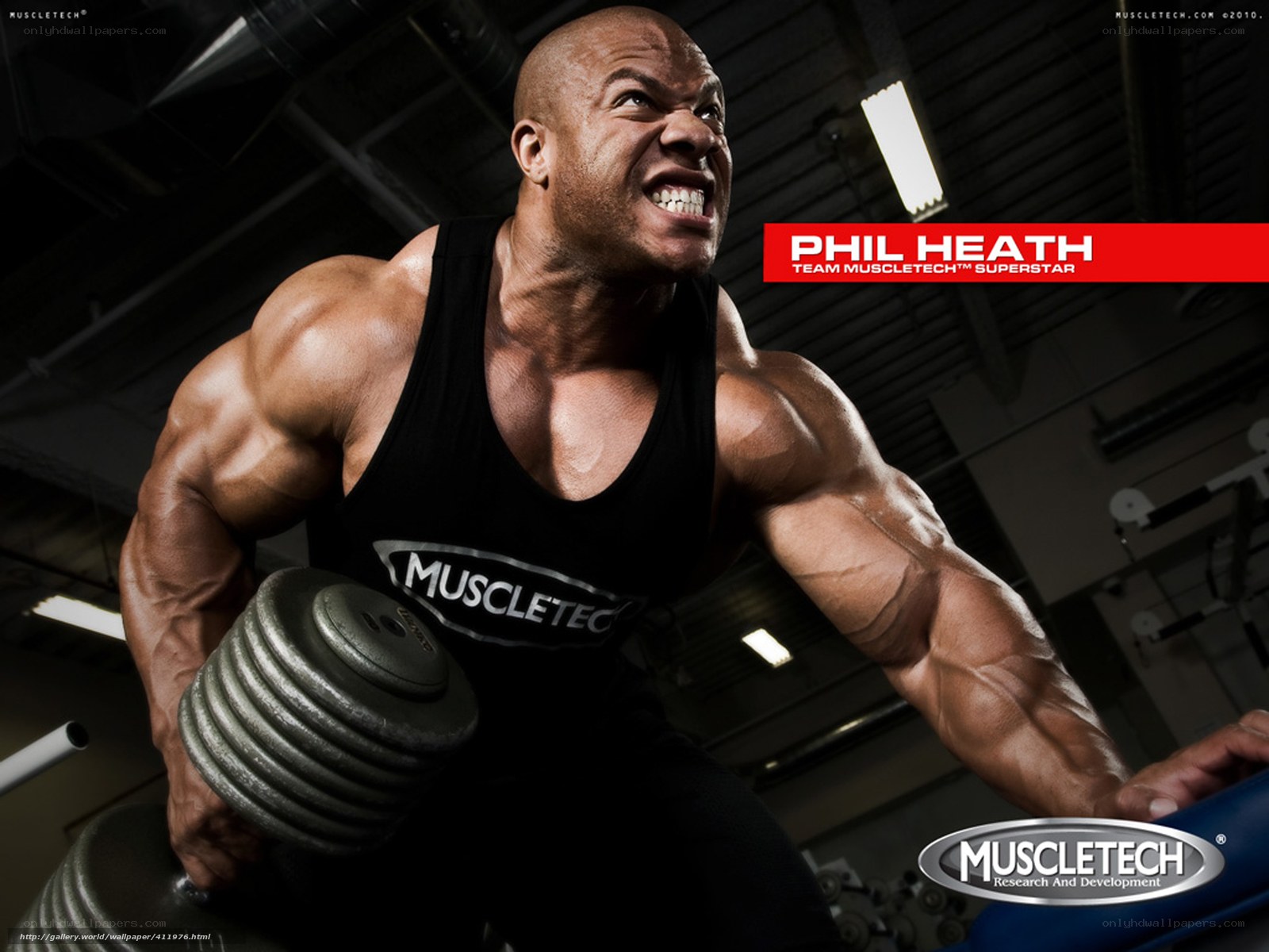 Phil Heath lifting weights
