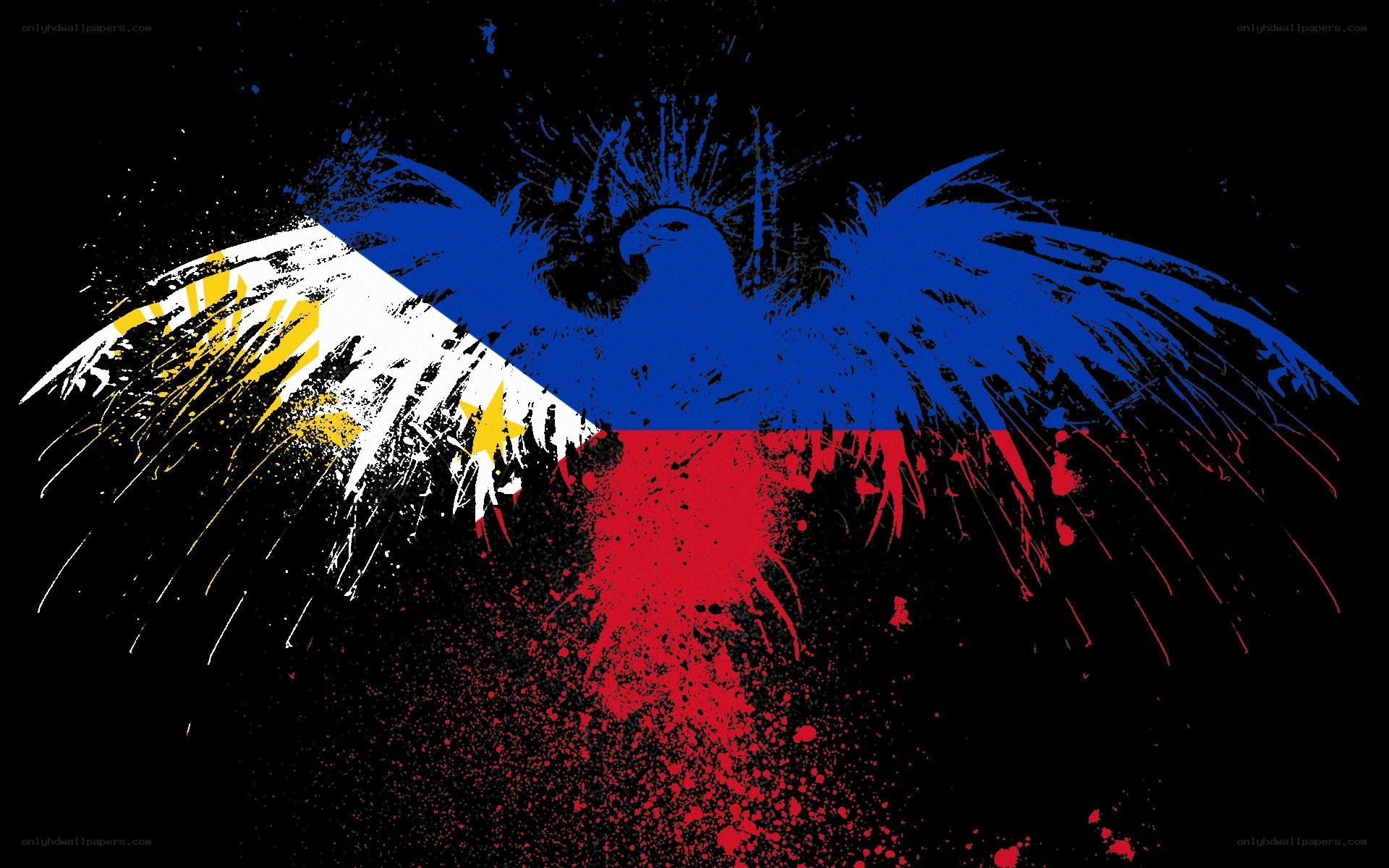 Philippine flag eagle art