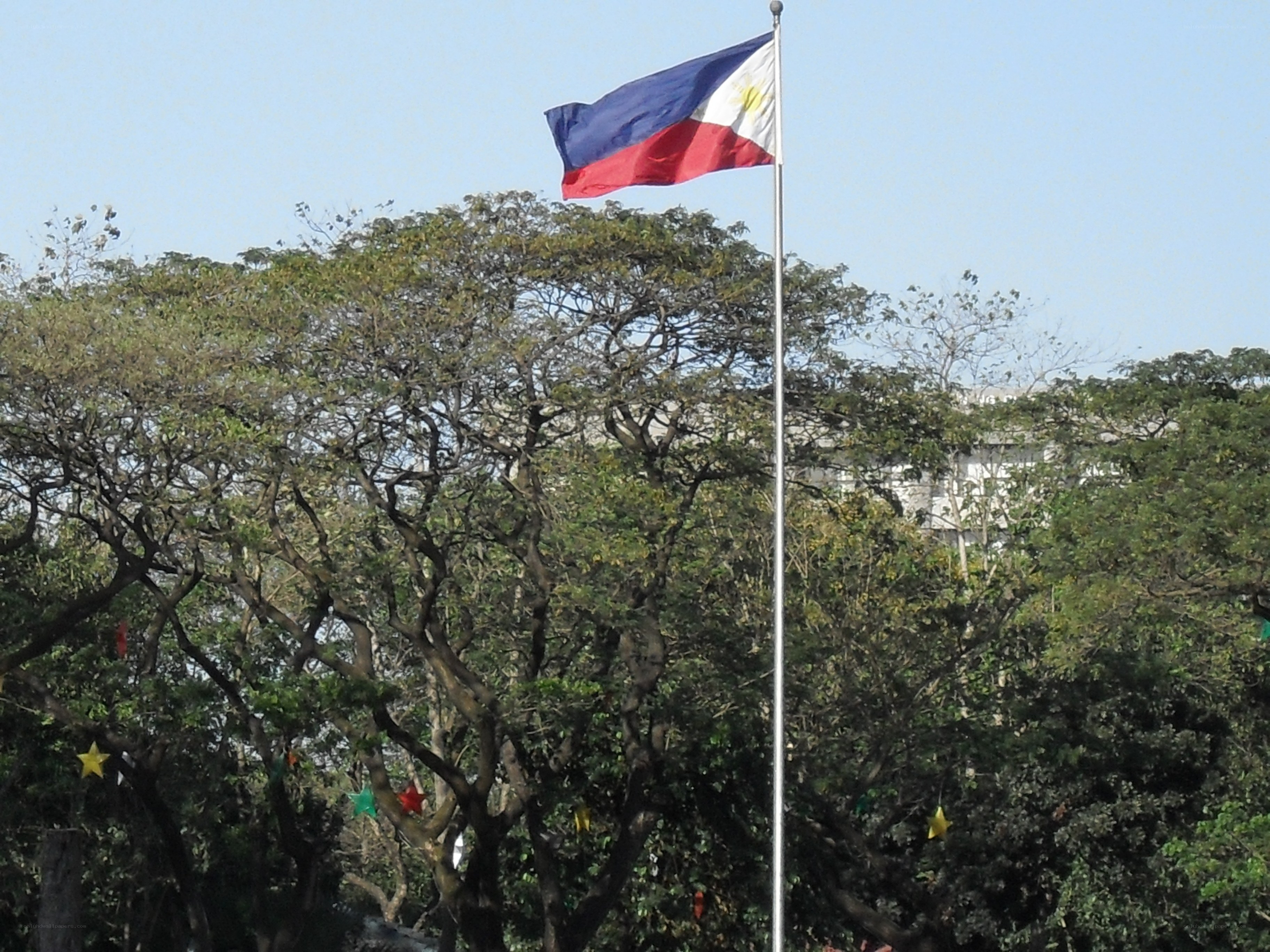 Philippine flag waving in the wind