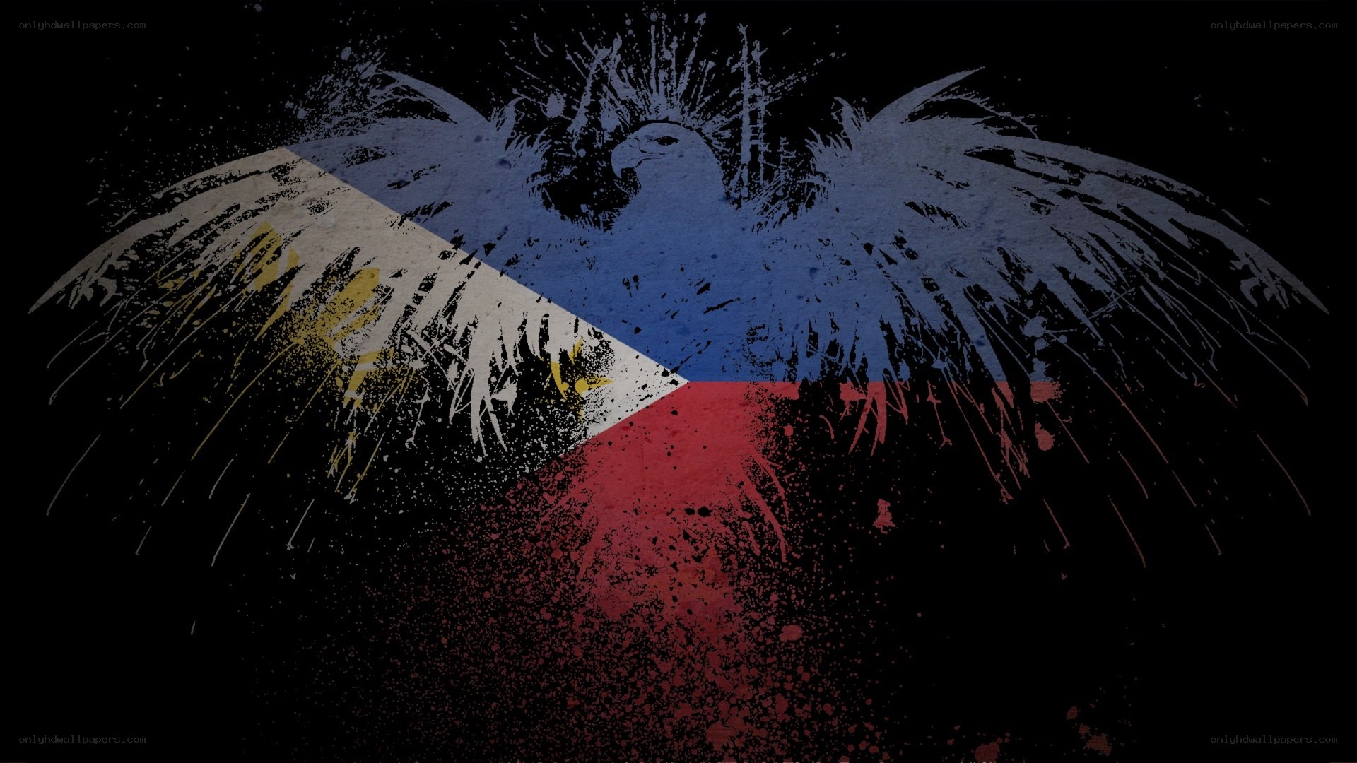 Philippine flag with eagle art