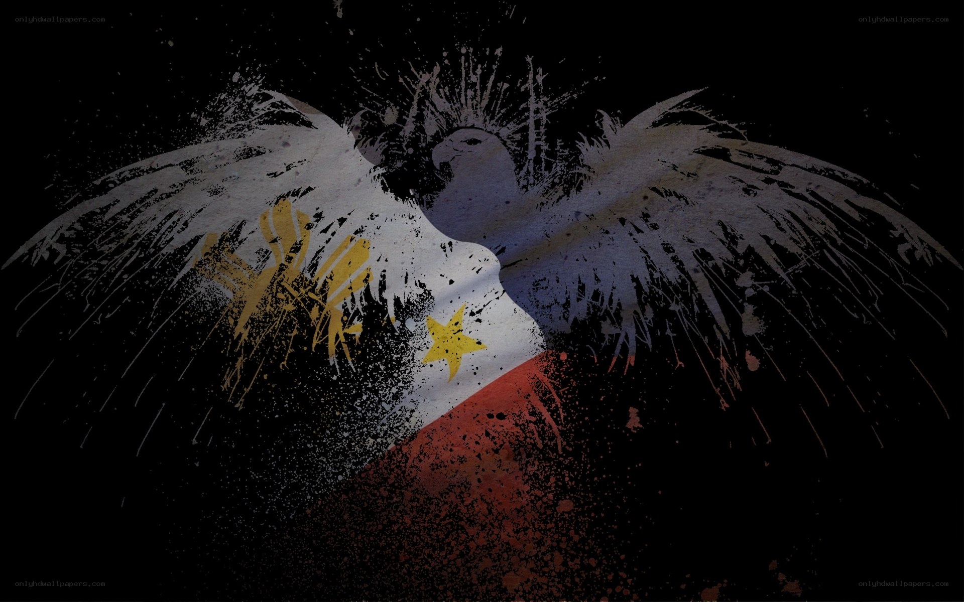 Philippine flag with eagle