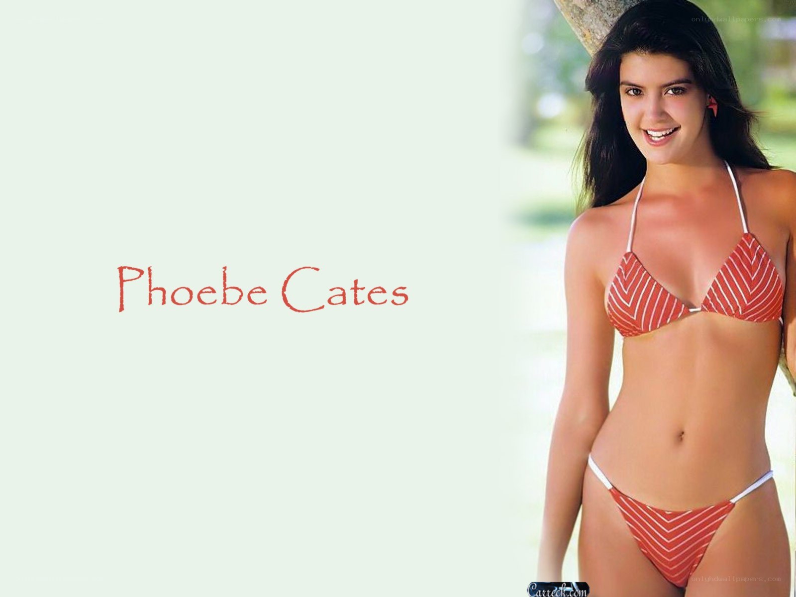 Phoebe Cates in bikini