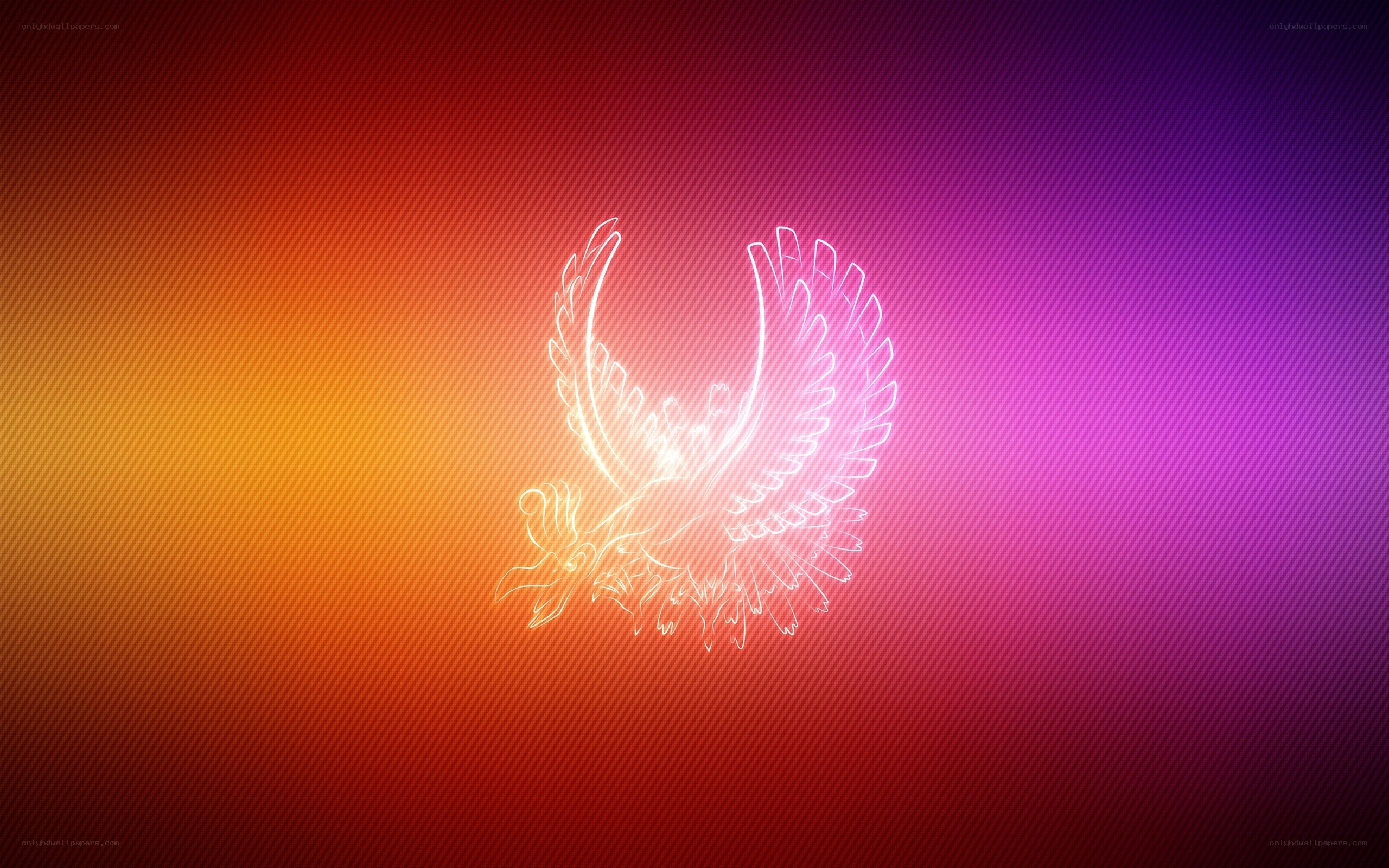 Phoebus outline on gradient
