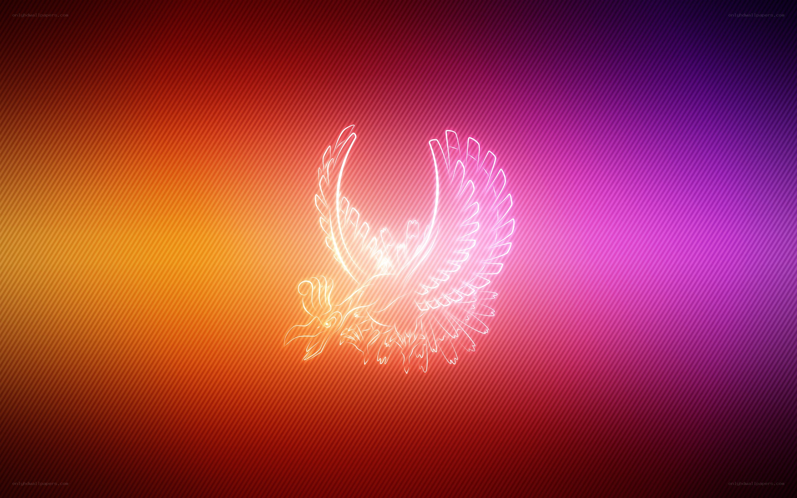 Phoenicium outline on gradient