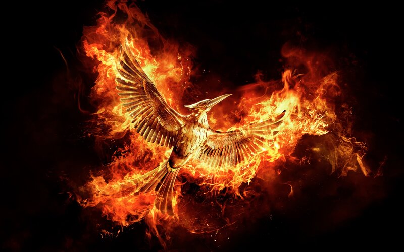 Phoenix Bird in Flames — Orange, Dramatic