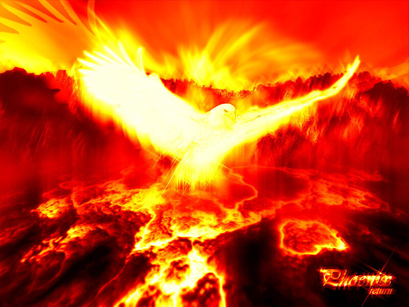 Phoenix Bird in Flames — Red, Dramatic