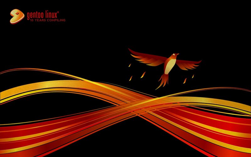 Phoenix Bird in Flight — Black