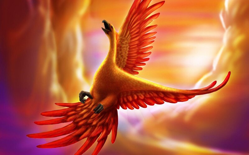 Phoenix Bird in Flight — Red, Dramatic, Sunset