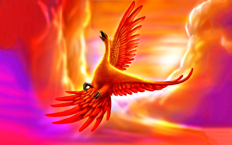 Phoenix Bird in Flight — Red, Dramatic