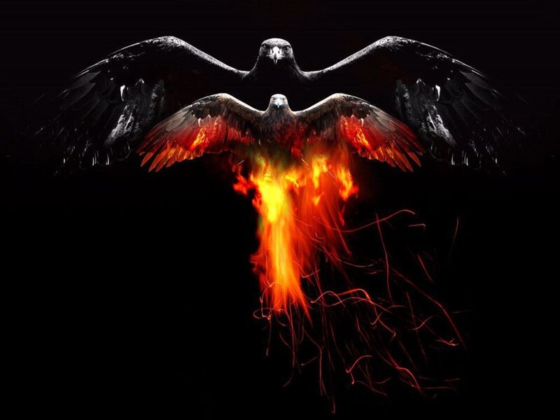 Phoenix Bird Rising — Black