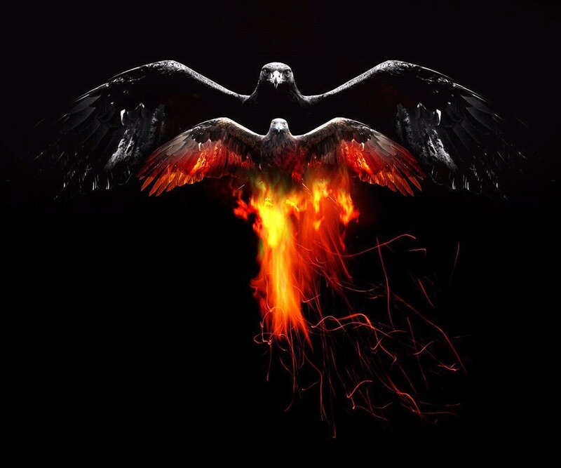 Phoenix Bird Rising