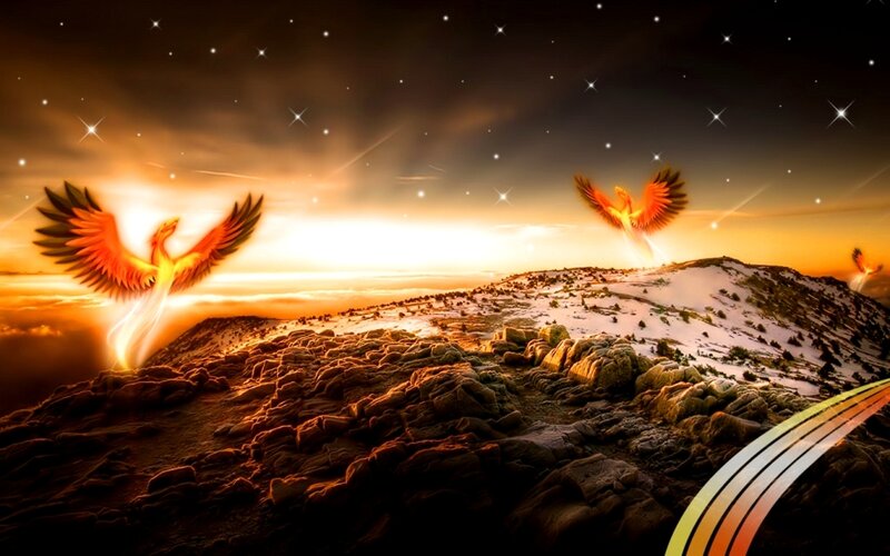 Phoenix Birds in Flight
