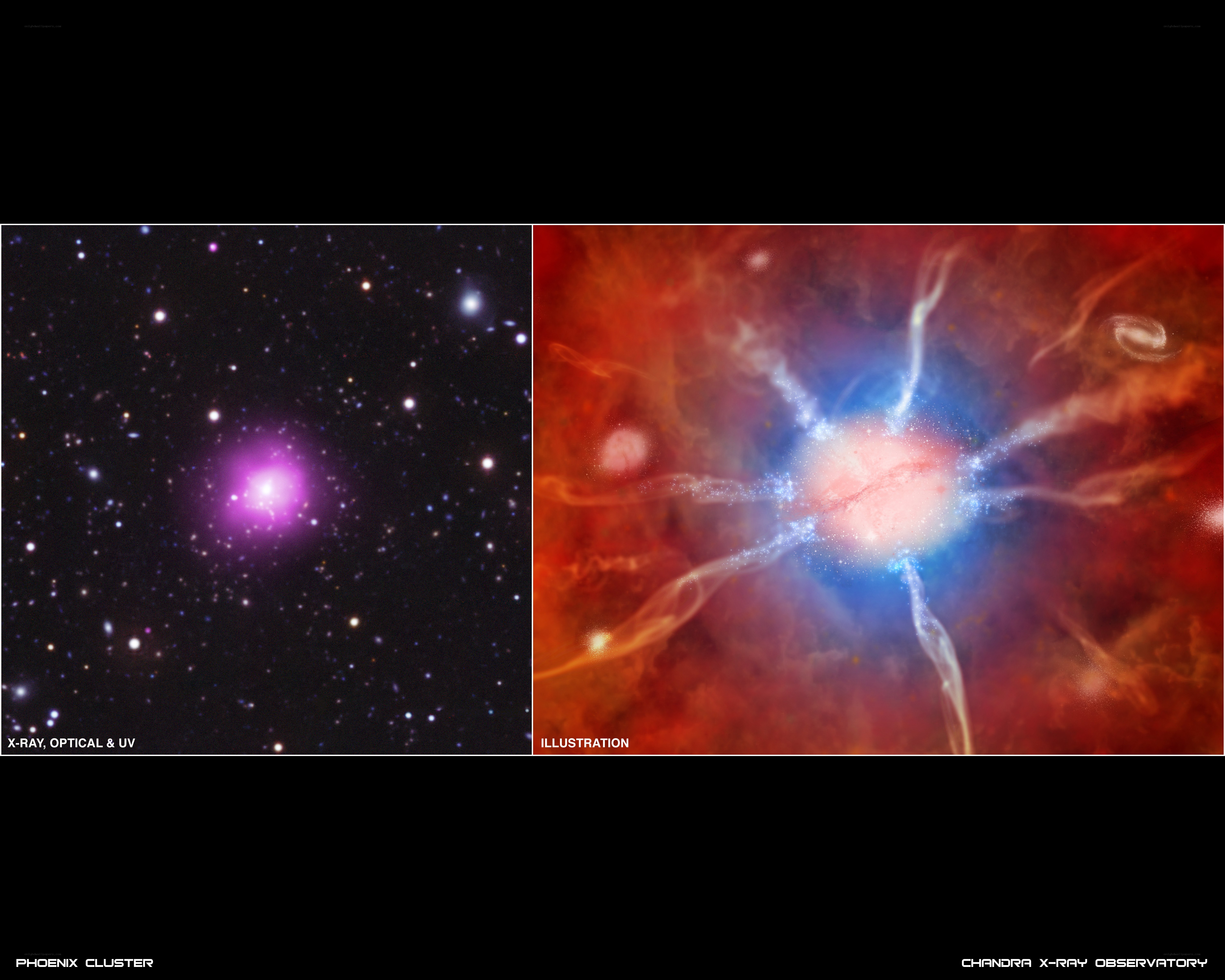 Phoenix Cluster image