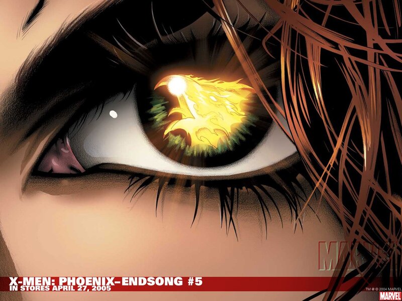 Phoenix eye close-up