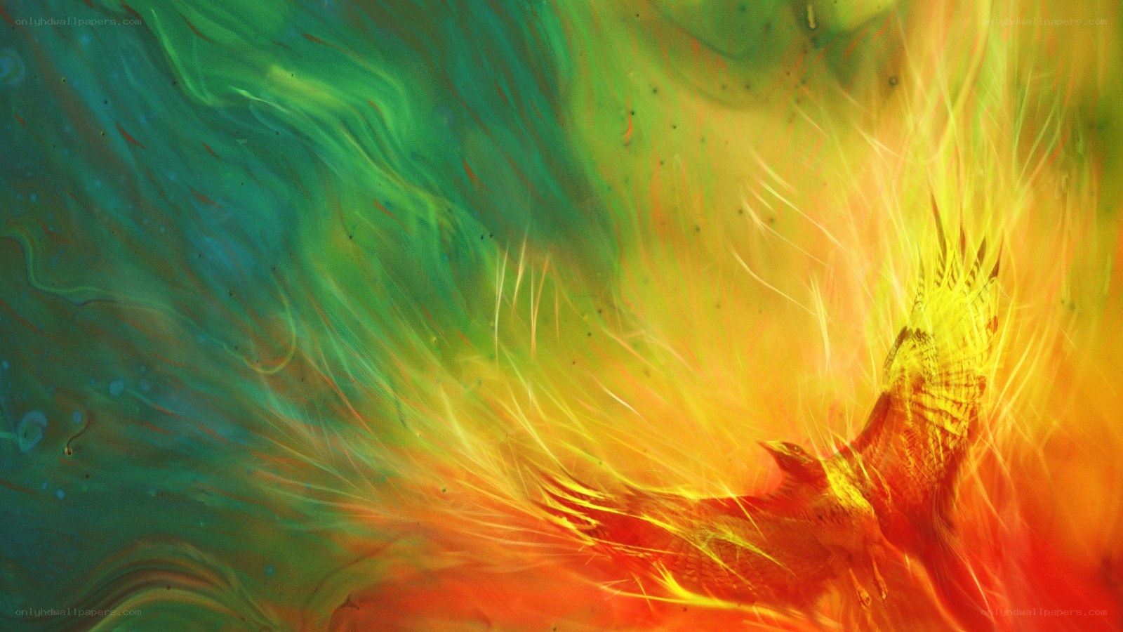 phoenix in fiery colors