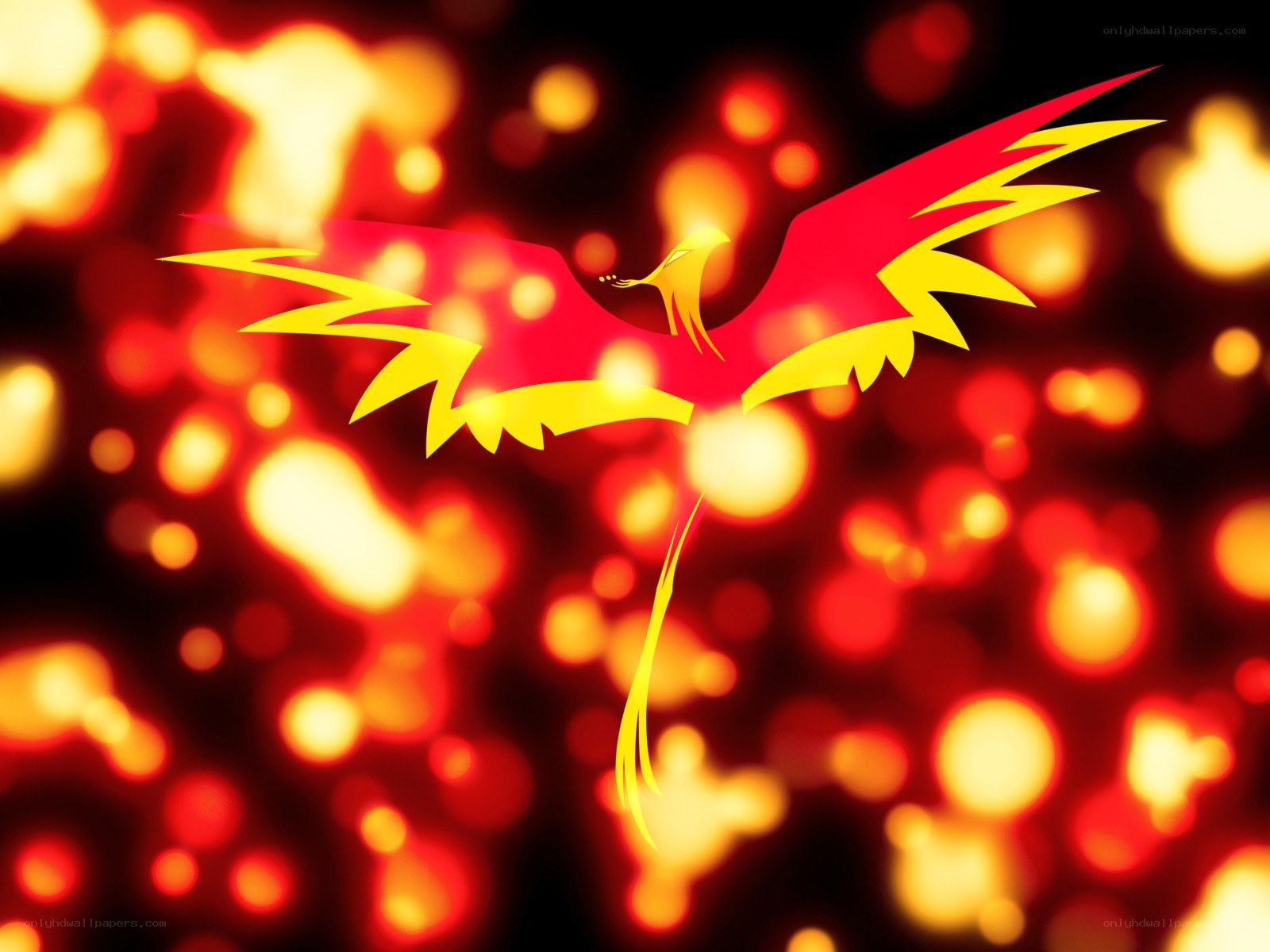 Phoenix in fiery glow