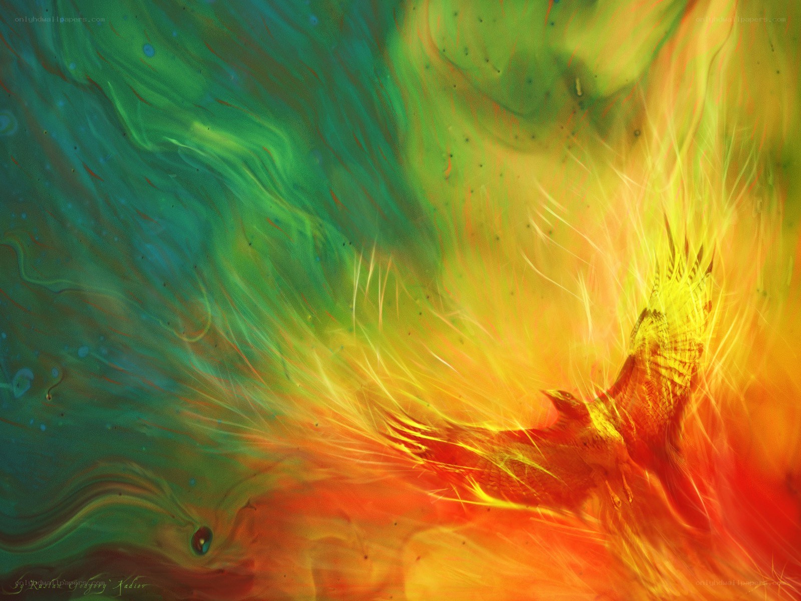 Phoenix in fiery rebirth