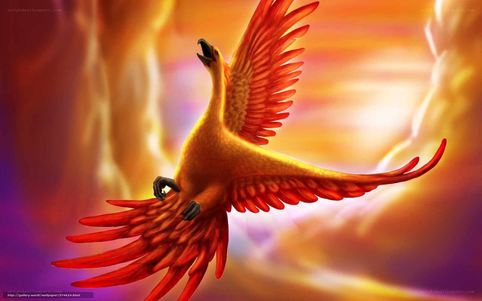 Phoenix in fiery sky
