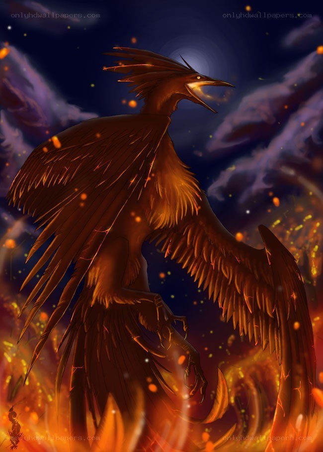 Phoenix in flames