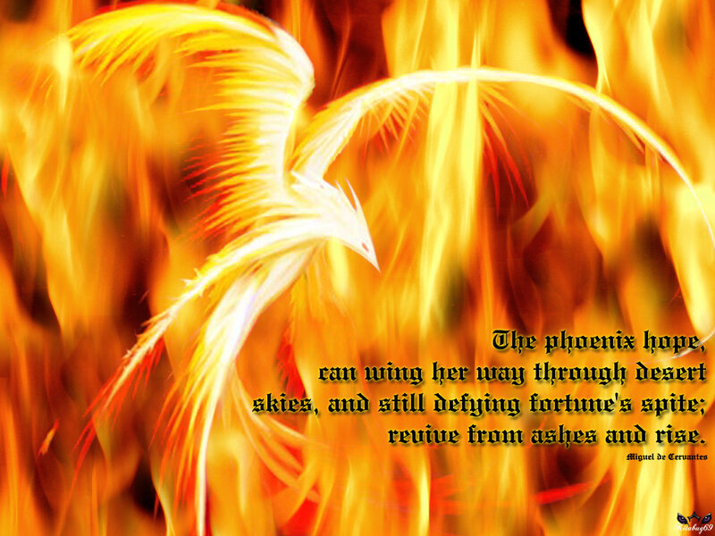 Phoenix in Flames — Orange
