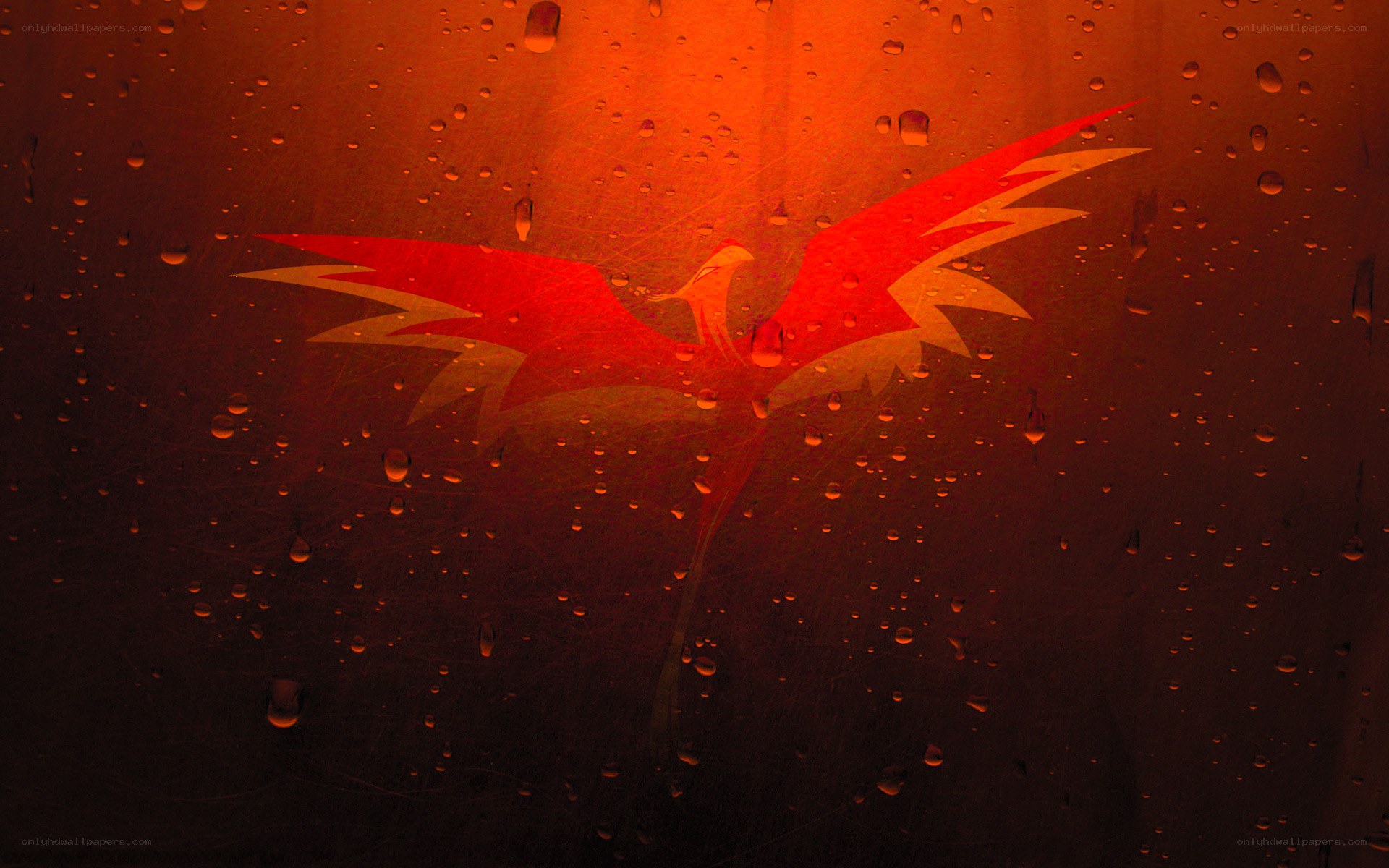 Phoenix logo on rainy glass