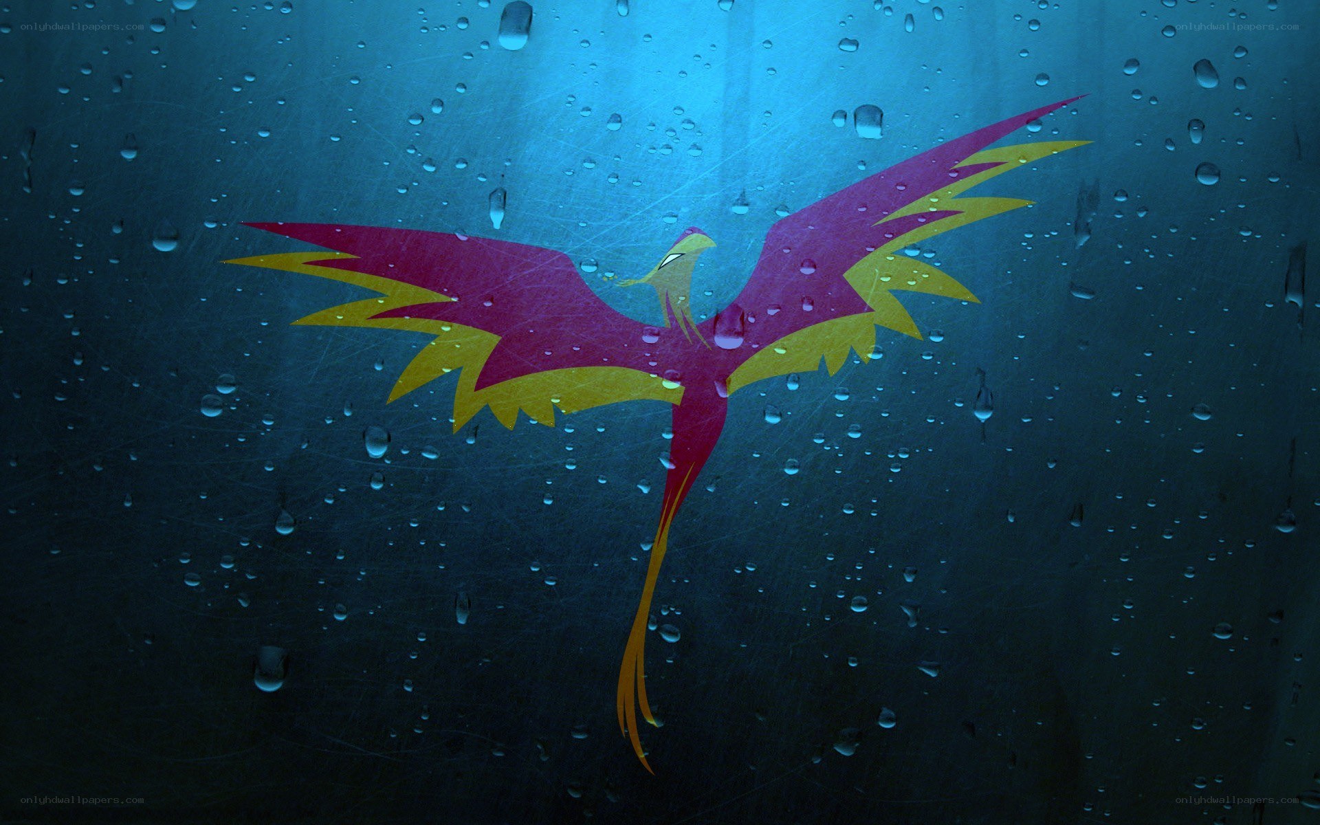 phoenix on wet glass