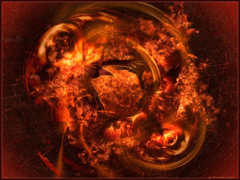 Phoenix rebirth in fire