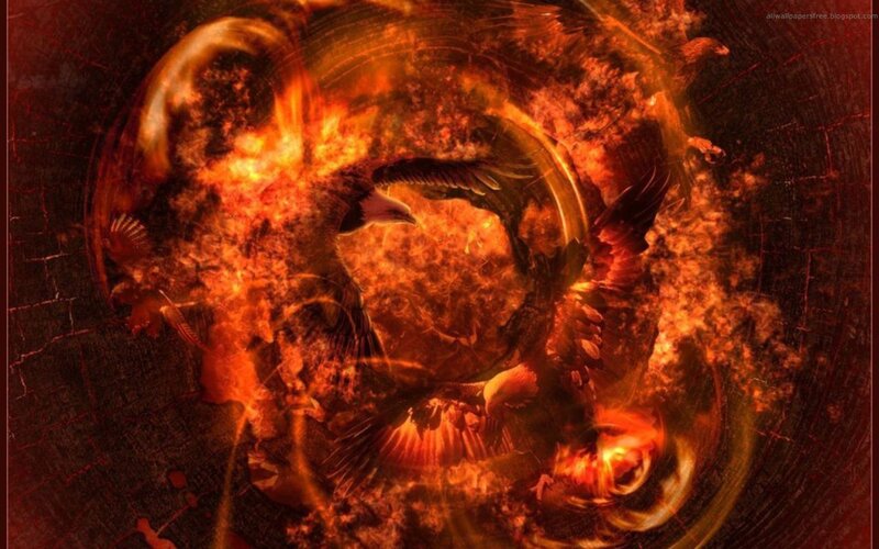 Phoenix rebirth in fire