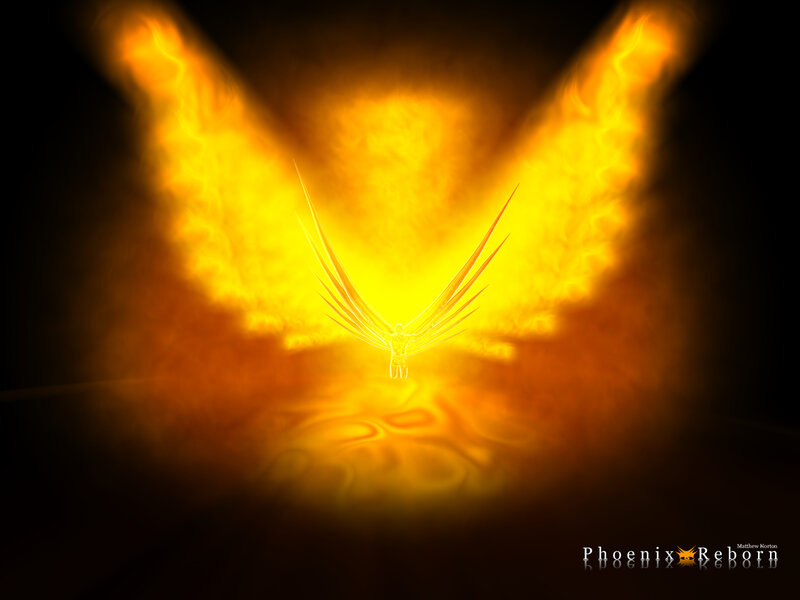 Phoenix Reborn artwork
