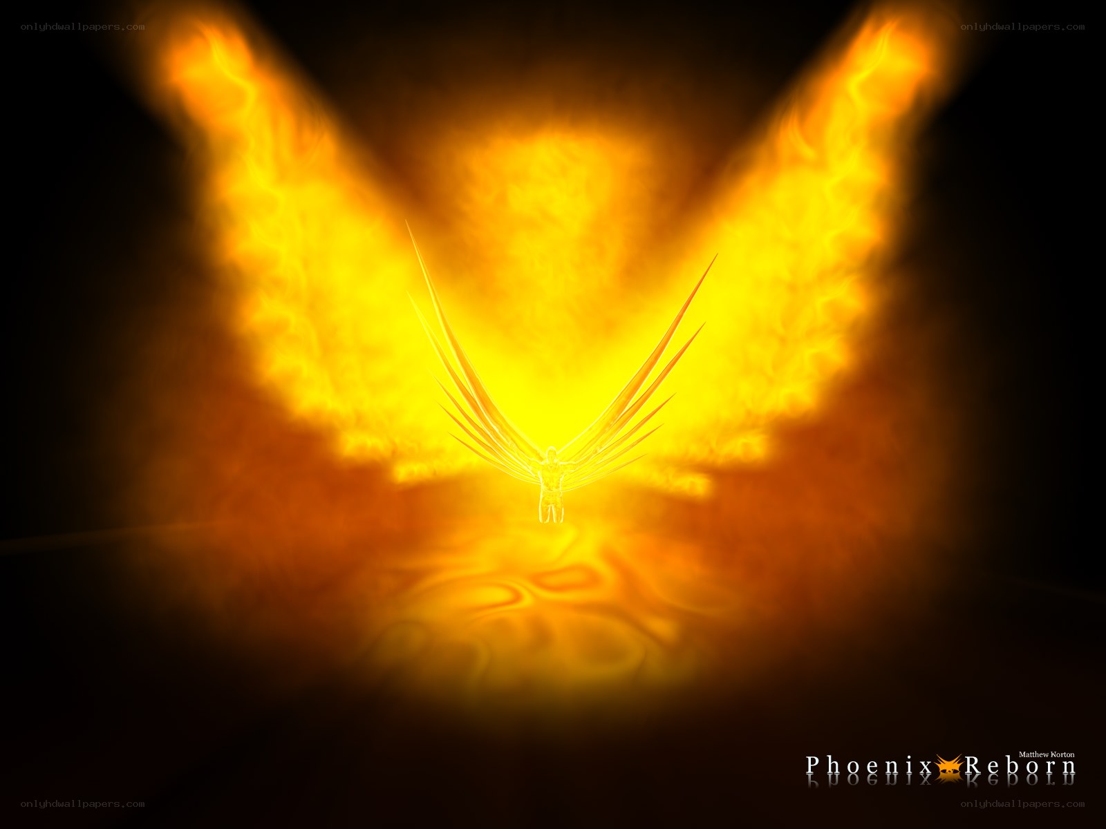 Phoenix Reborn artwork