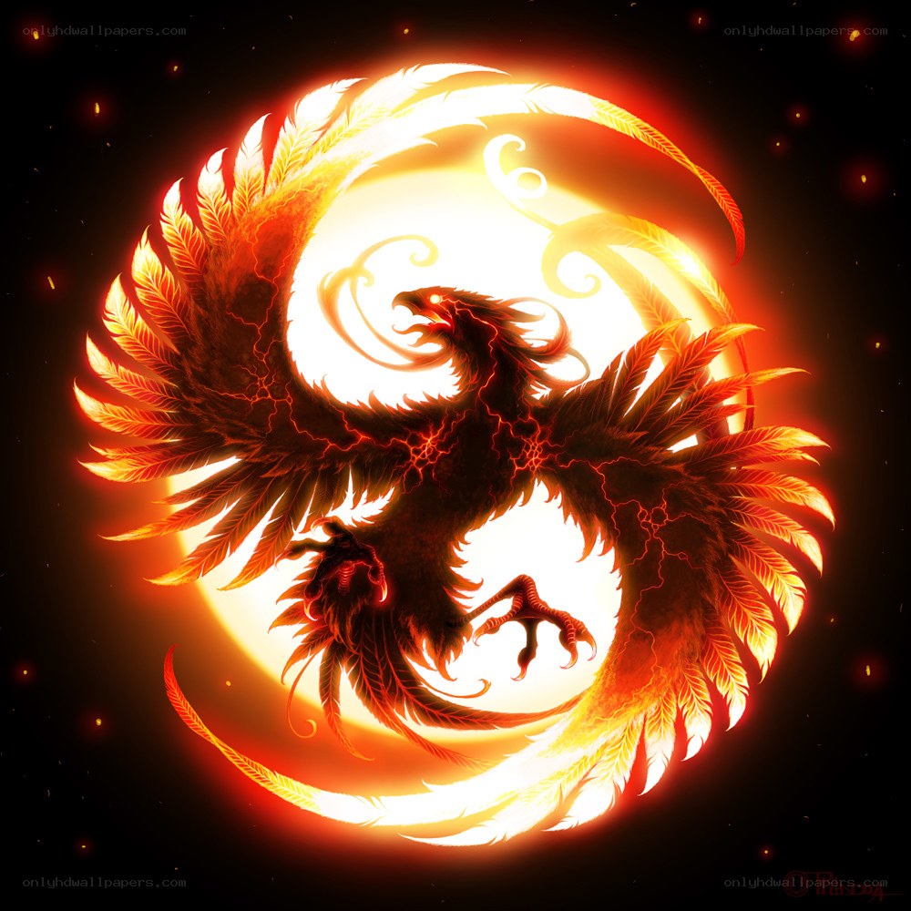 Phoenix rising from fire