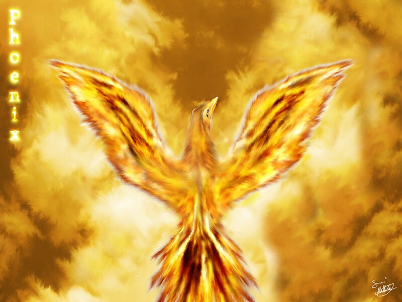 Phoenix rising from flames