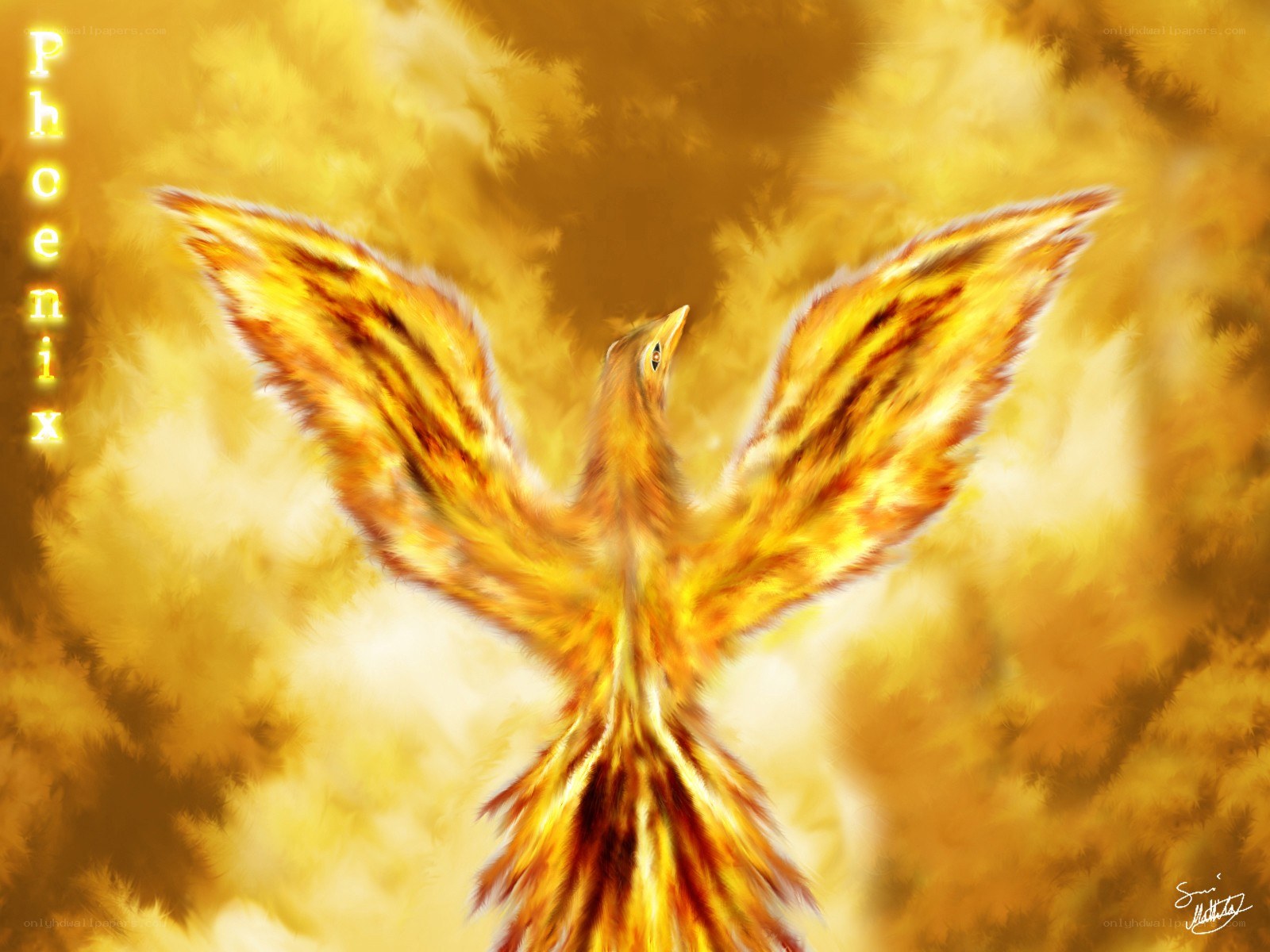 Phoenix rising from flames