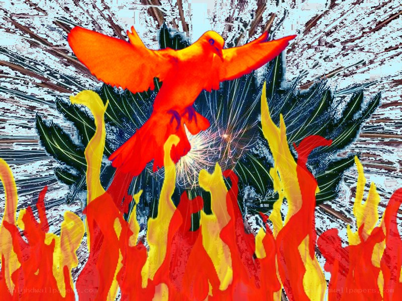 Phoenix rising from flames