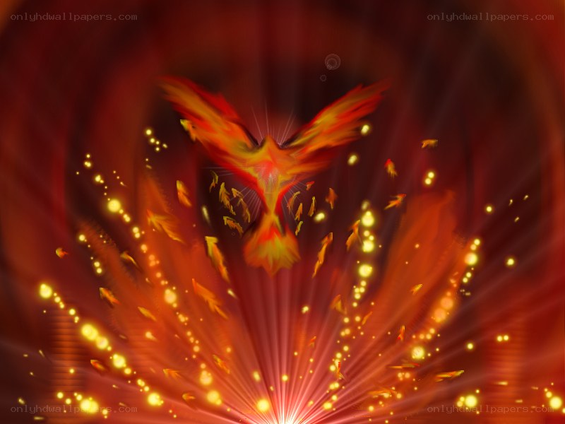 Phoenix rising in fiery light