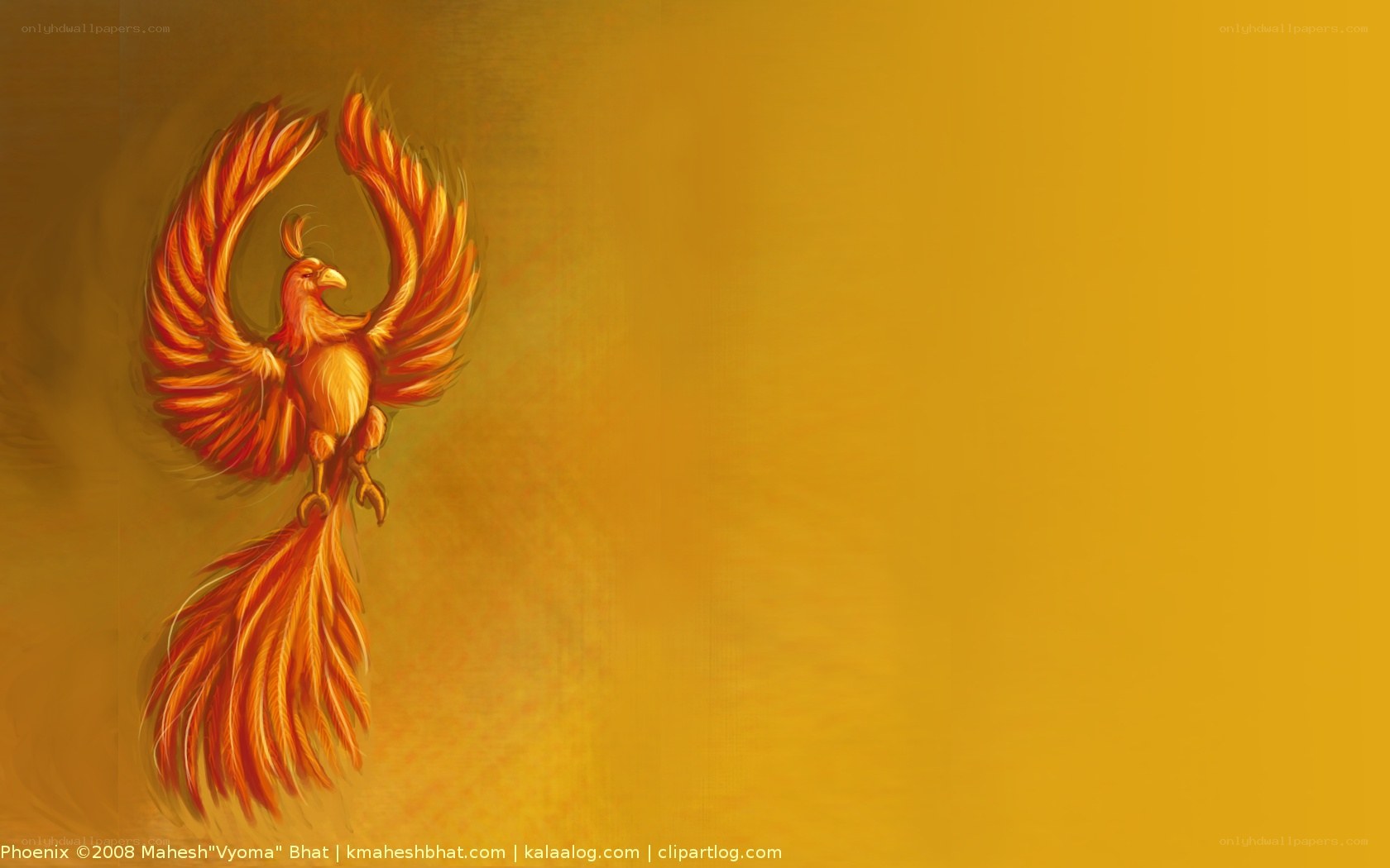 Phoenix rising in fire