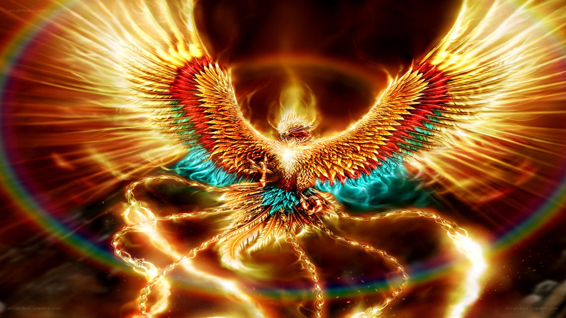 Phoenix rising in fire