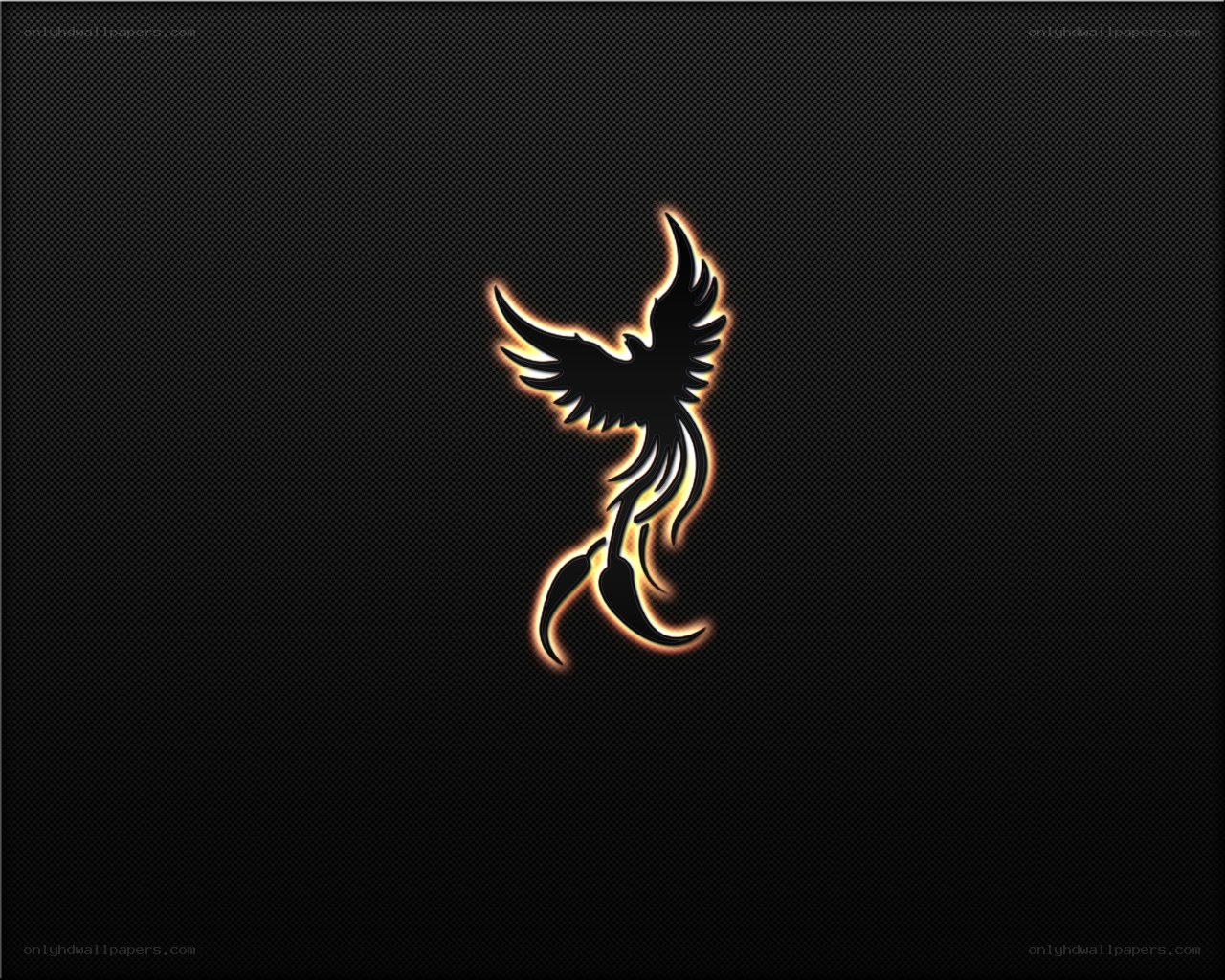 Phoenix silhouette on dark background