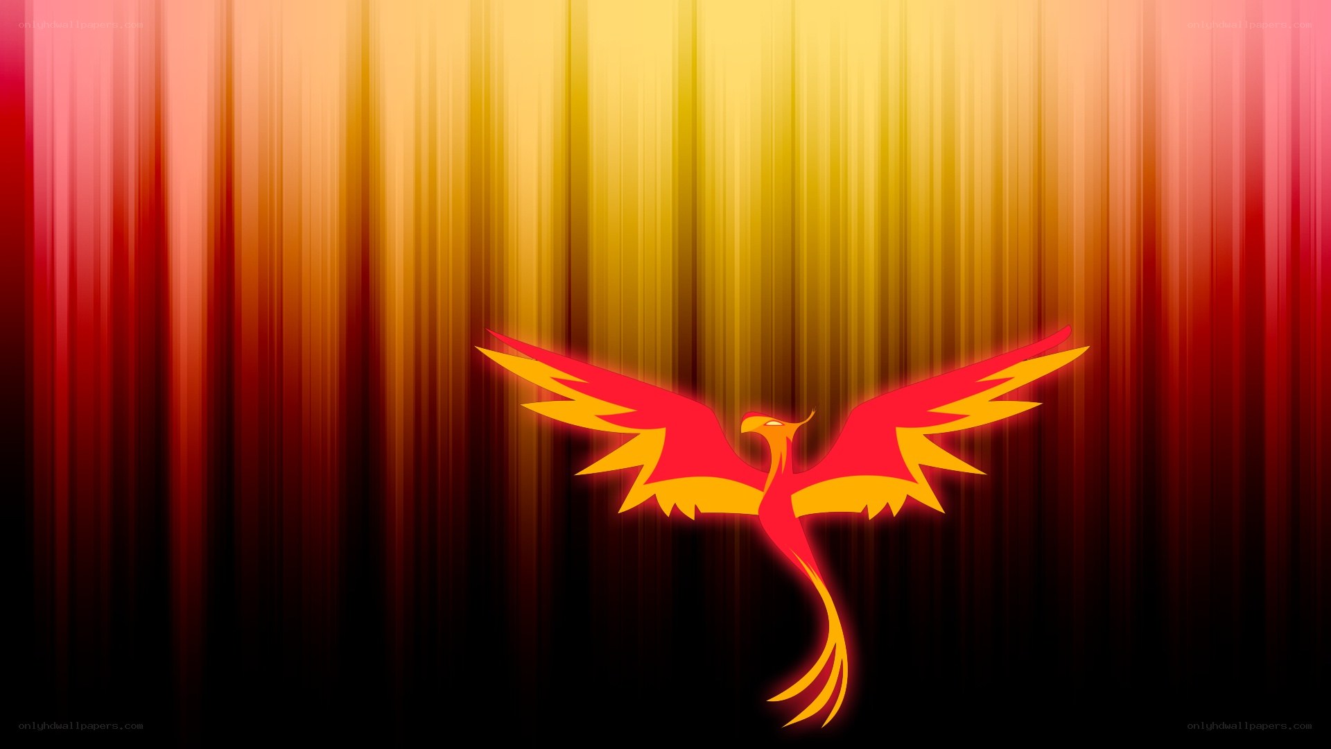 Phoenix symbol on fiery background
