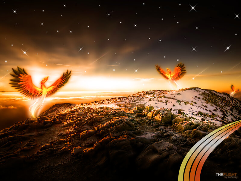 Phoenixes in a starry sky