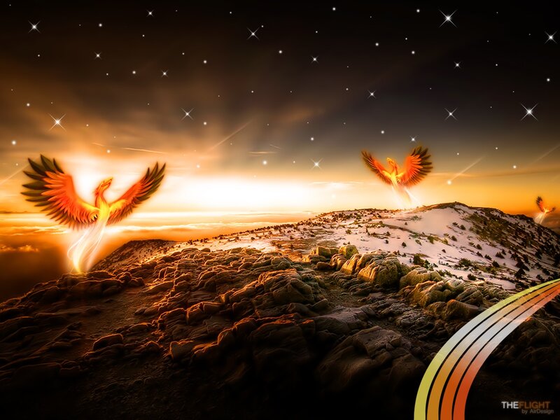 Phoenixes in a starry sky