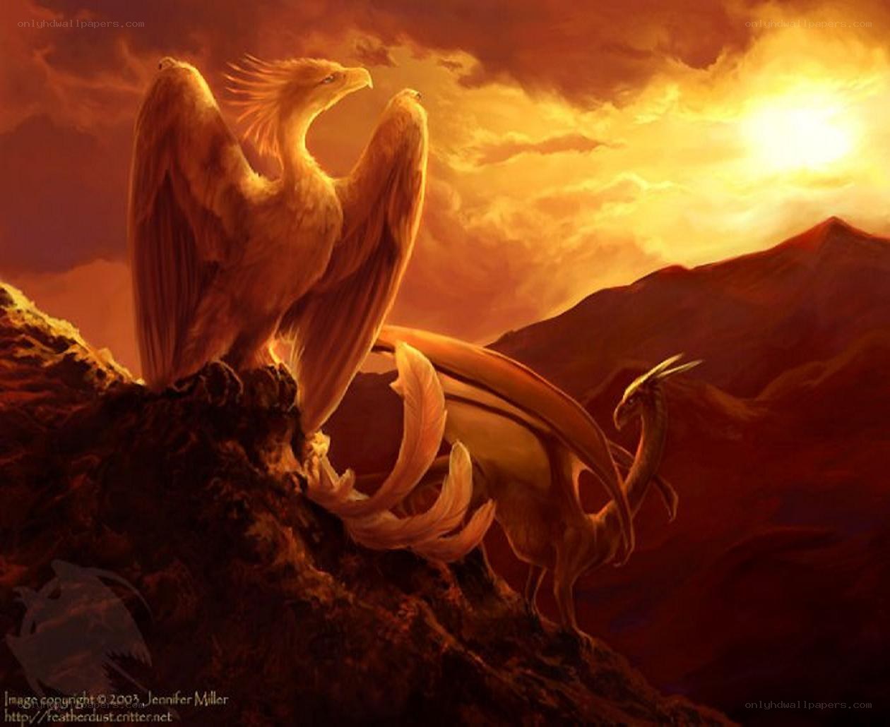 Phoenixes on a mountain at sunset
